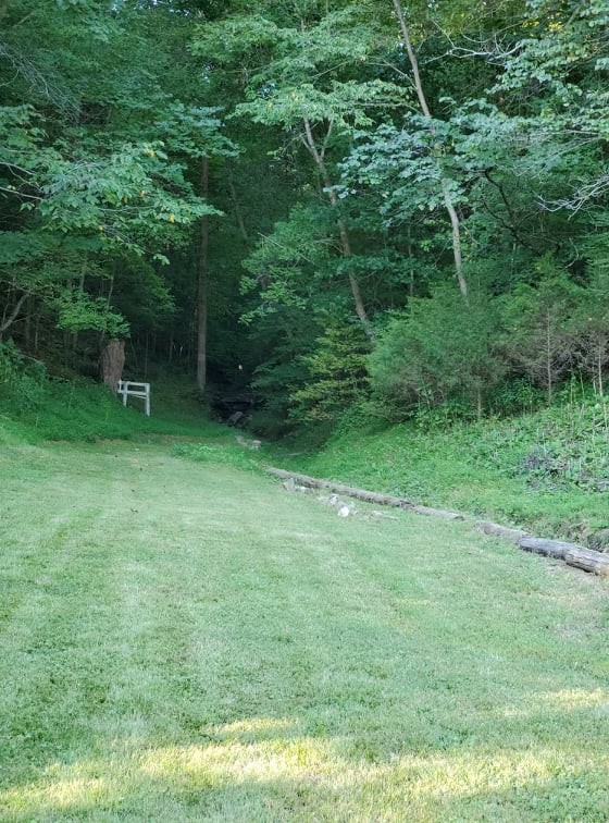 1971 Short Creek Road Linden, TN 37096 - Photo 20 of 38 Gallery Image 20