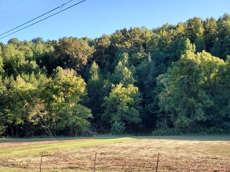 1971 Short Creek Road Linden, TN 37096 - Photo 22 of 38 Gallery Image 22