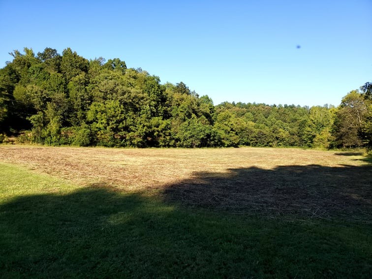 1971 Short Creek Road Linden, TN 37096 - Photo 26 of 38 Gallery Image 26
