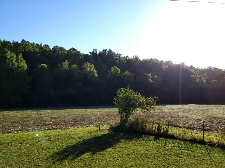 1971 Short Creek Road Linden, TN 37096 - Photo 28 of 38 Gallery Image 28