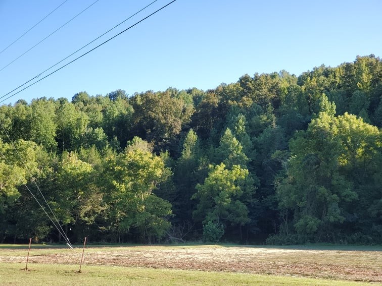 1971 Short Creek Road Linden, TN 37096 - Photo 32 of 38 Gallery Image 32