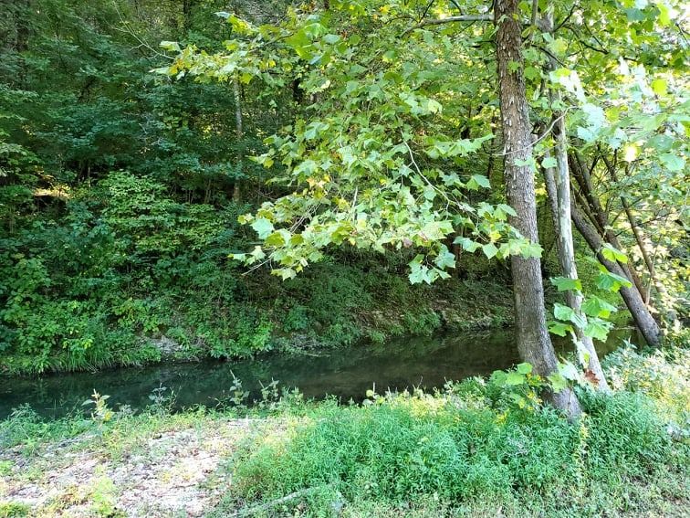 1971 Short Creek Road Linden, TN 37096 - Photo 37 of 38 Gallery Image 37
