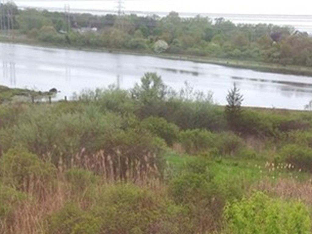 1 Hamilton Road Somerset, MA 02725 - Photo 5 of 13