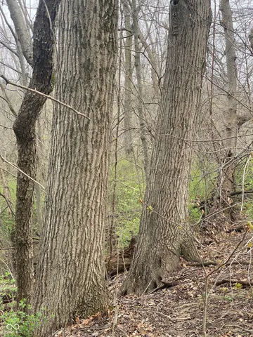 $450,000 | 6125 State Road 236, North Salem, IN 46165