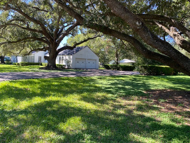 503 Main Street Garwood, TX 77442 - Photo 1 of 24 a house is sitting in middle of the forest