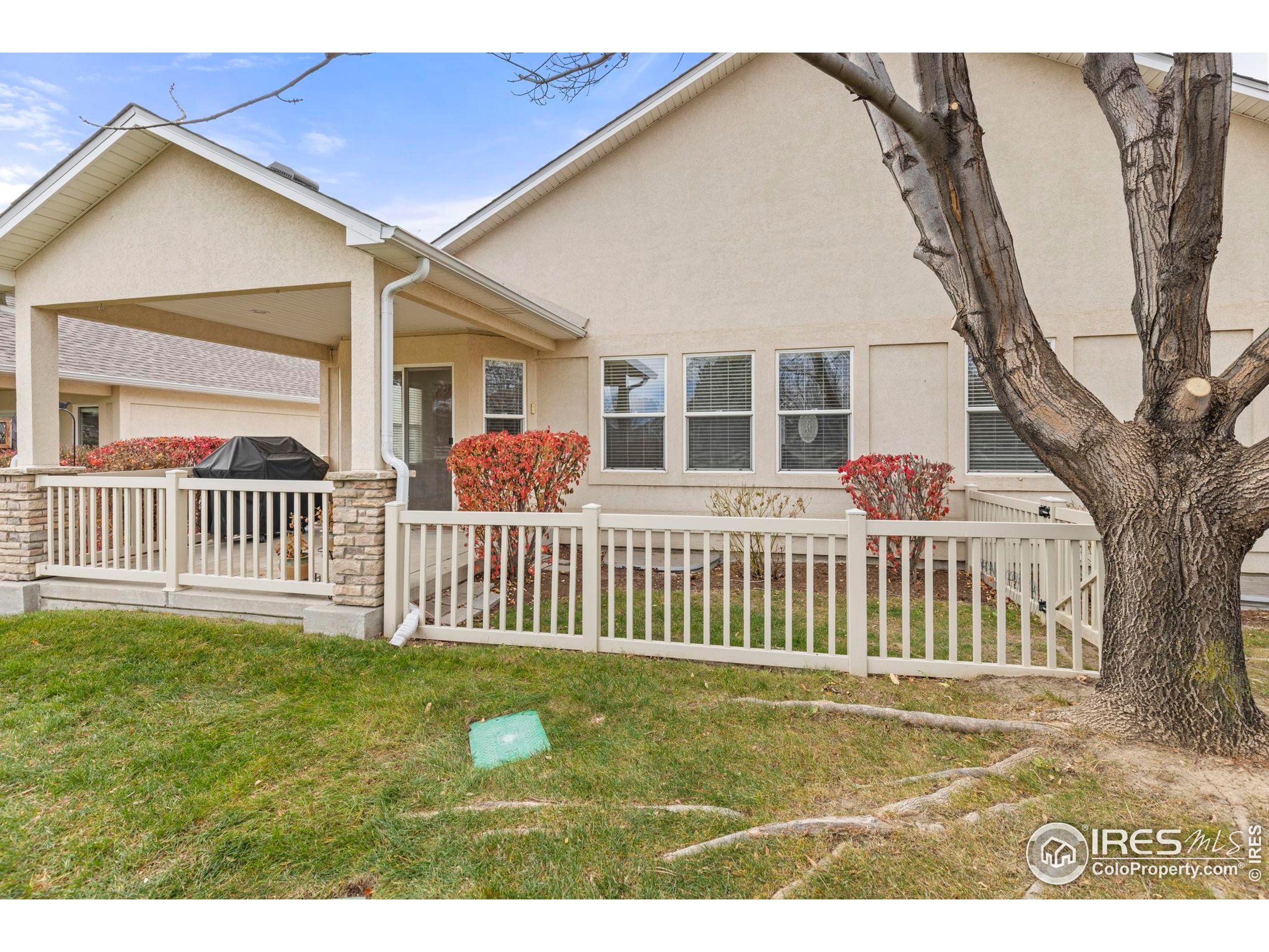 1365 Swainson Road Eaton, CO 80615 - Photo 21 of 34