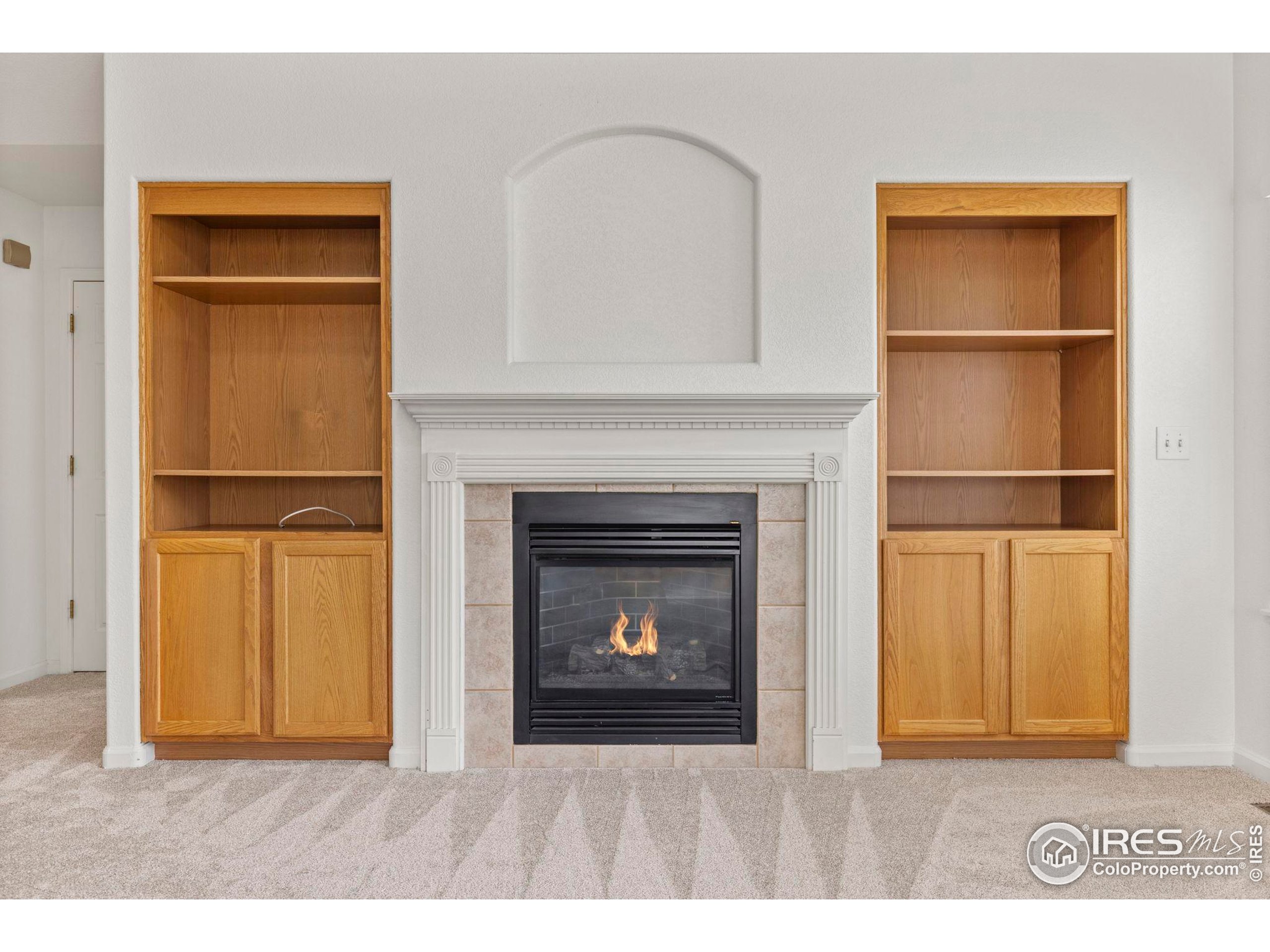 1365 Swainson Road Eaton, CO 80615 - Photo 5 of 34