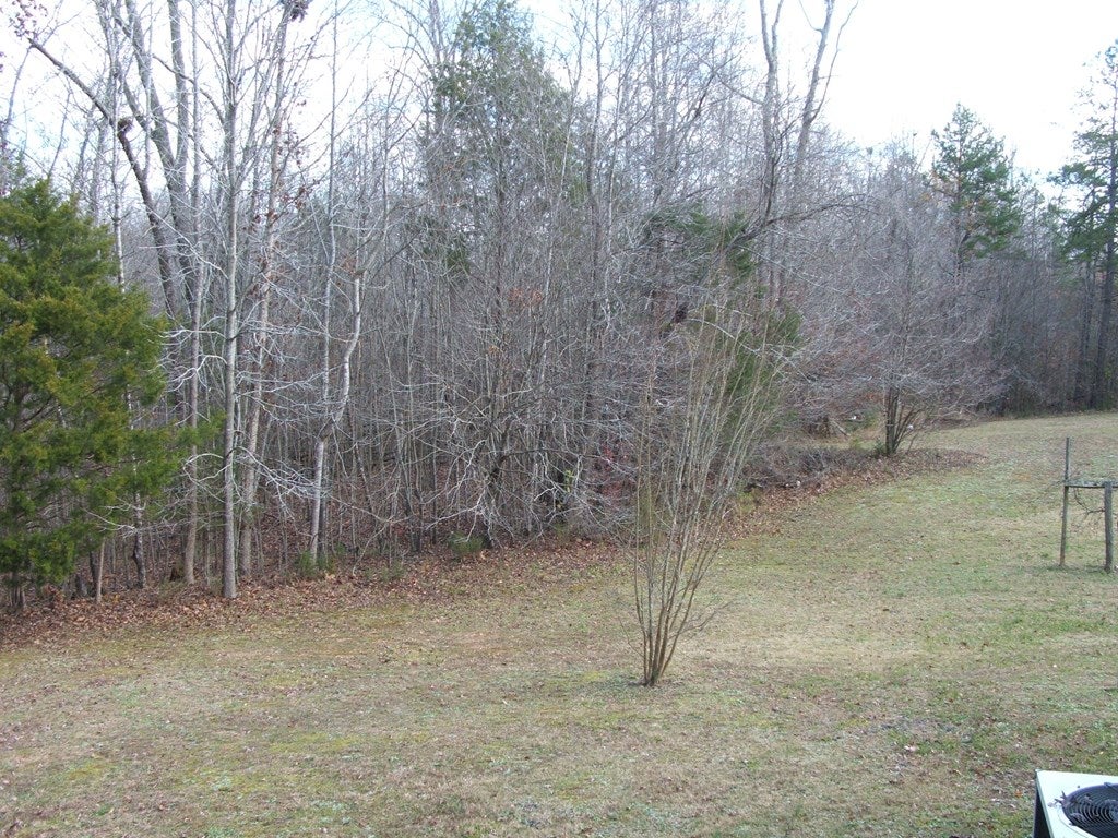 1368 Battes Road Green Bay, VA 23942 - Photo 13 of 25 Gallery Image 13