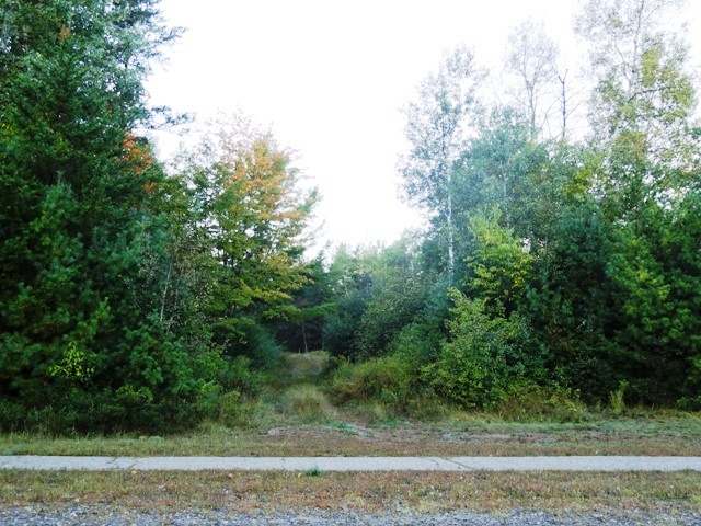 Lot 3 School Road Tomahawk, WI 54487 - Photo 7 of 11 Gallery Image 7