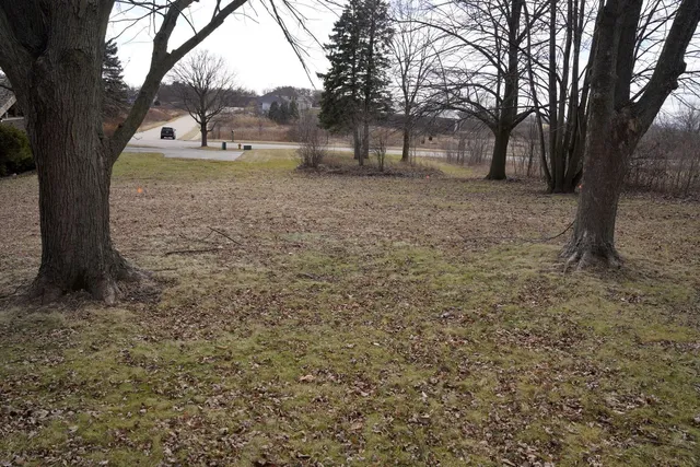 a view of a yard with a tree