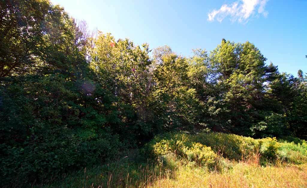 378 McSheffery Road Houlton, ME 04730 - Photo 20 of 59 new-378-mcsheffrey-rd