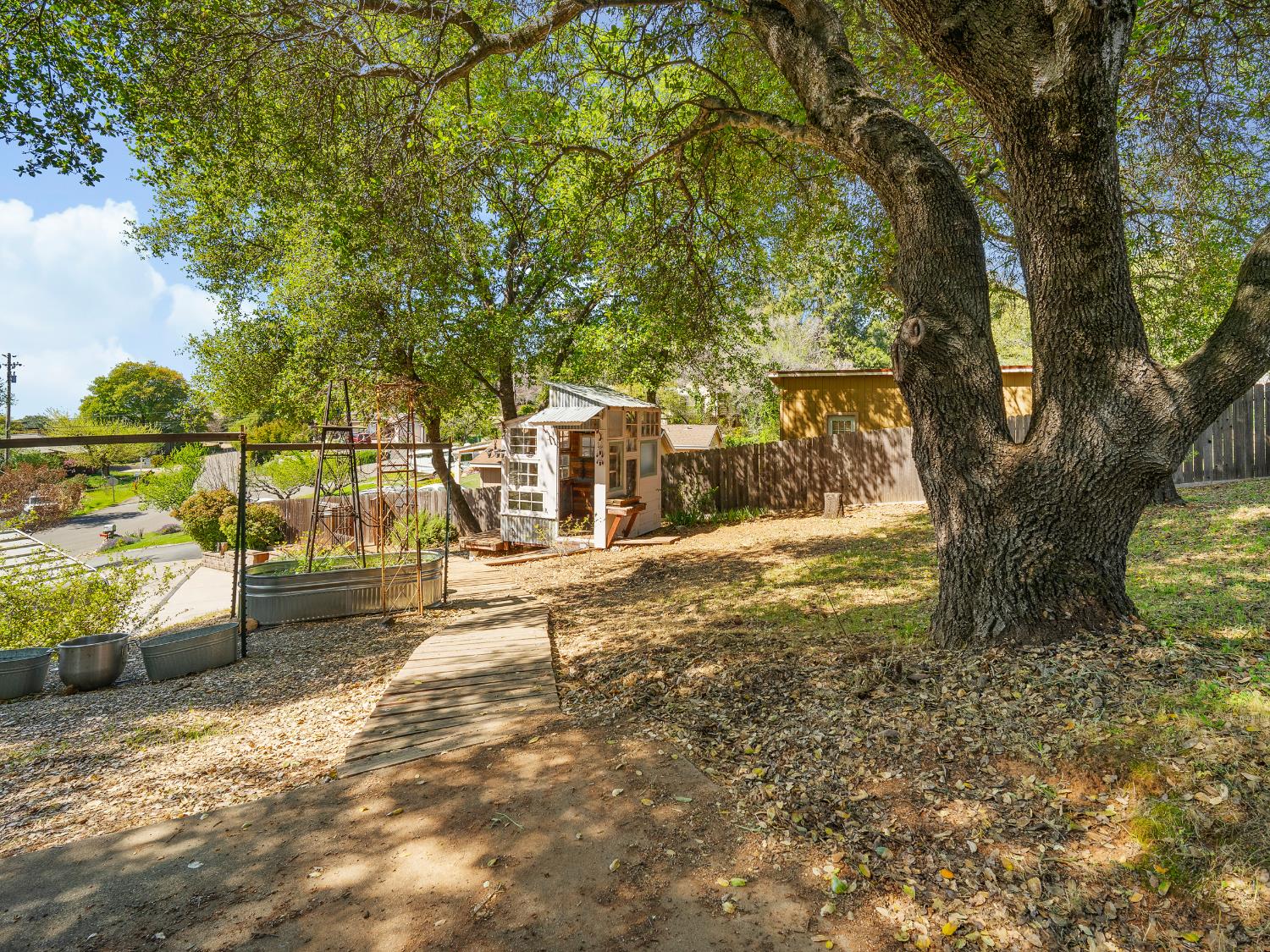 2401 Roxana Street Placerville, CA 95667 - Photo 39 of 45 a view of yard with tree