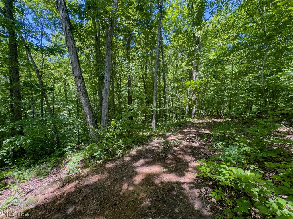 0 Long Hollow Road Pomeroy, OH 45769 - Photo 23 of 31