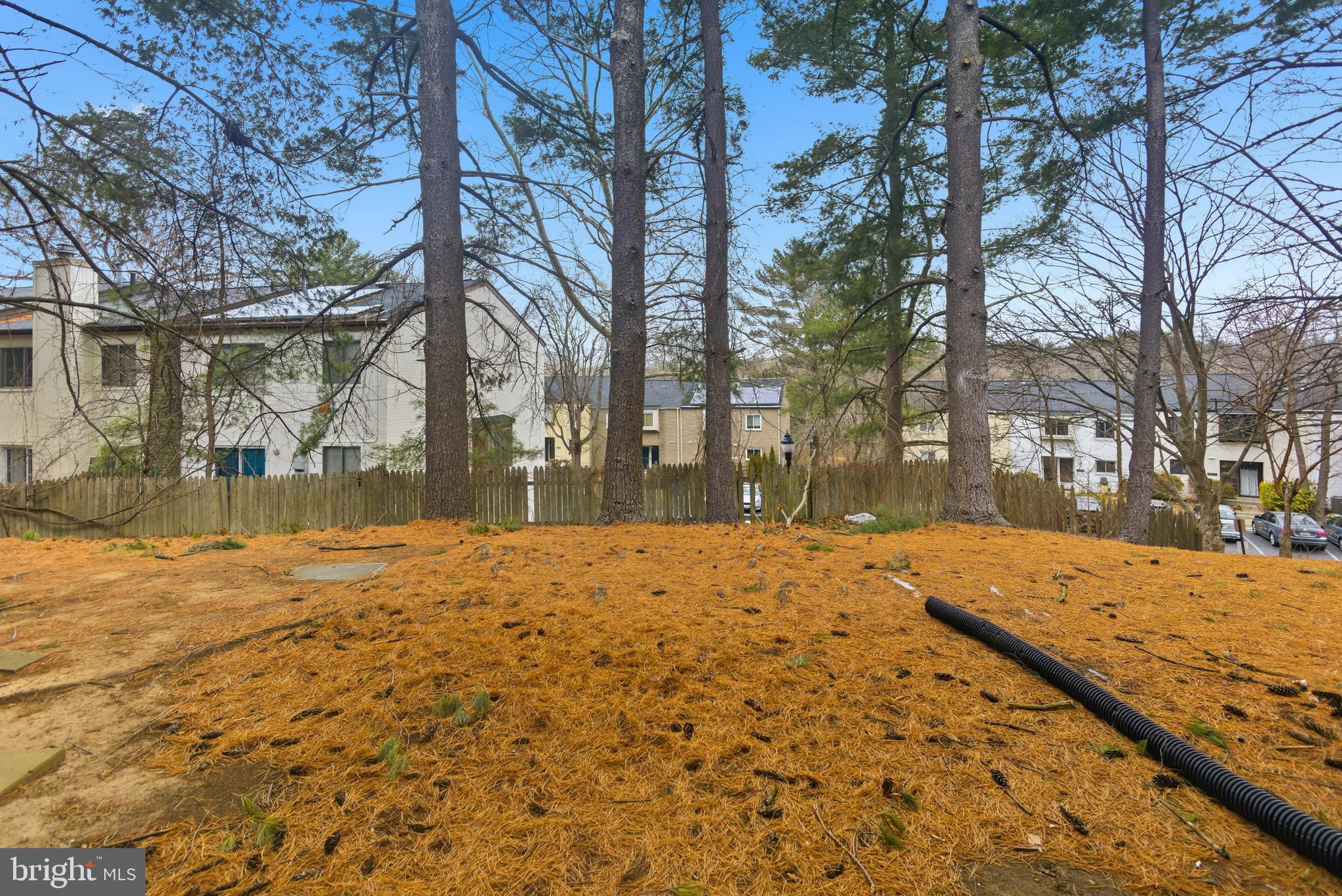 18806 Walkers Choice Road, Unit 2 Montgomery Village, MD 20886 - Photo 18 of 18 a view of large yard with tree
