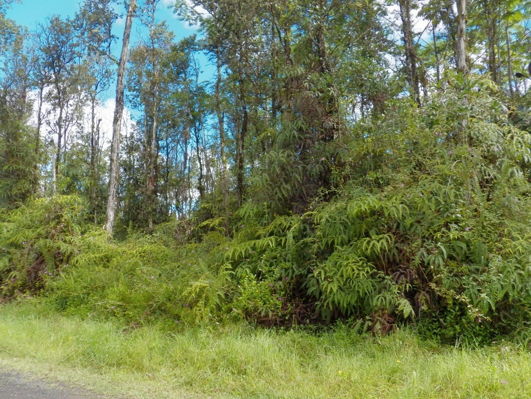 992 Alii Road Pahoa, HI 96778 - Photo 2 of 5 Gallery Image 2