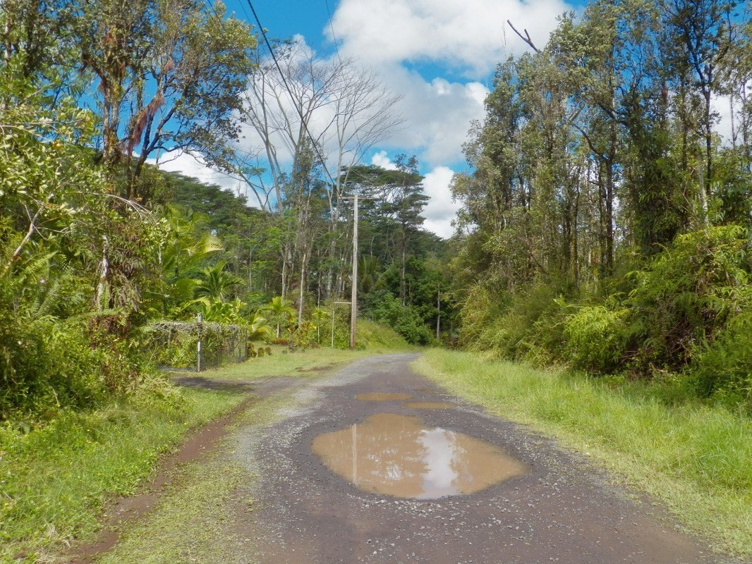 992 Alii Road Pahoa, HI 96778 - Photo 4 of 5 Gallery Image 4