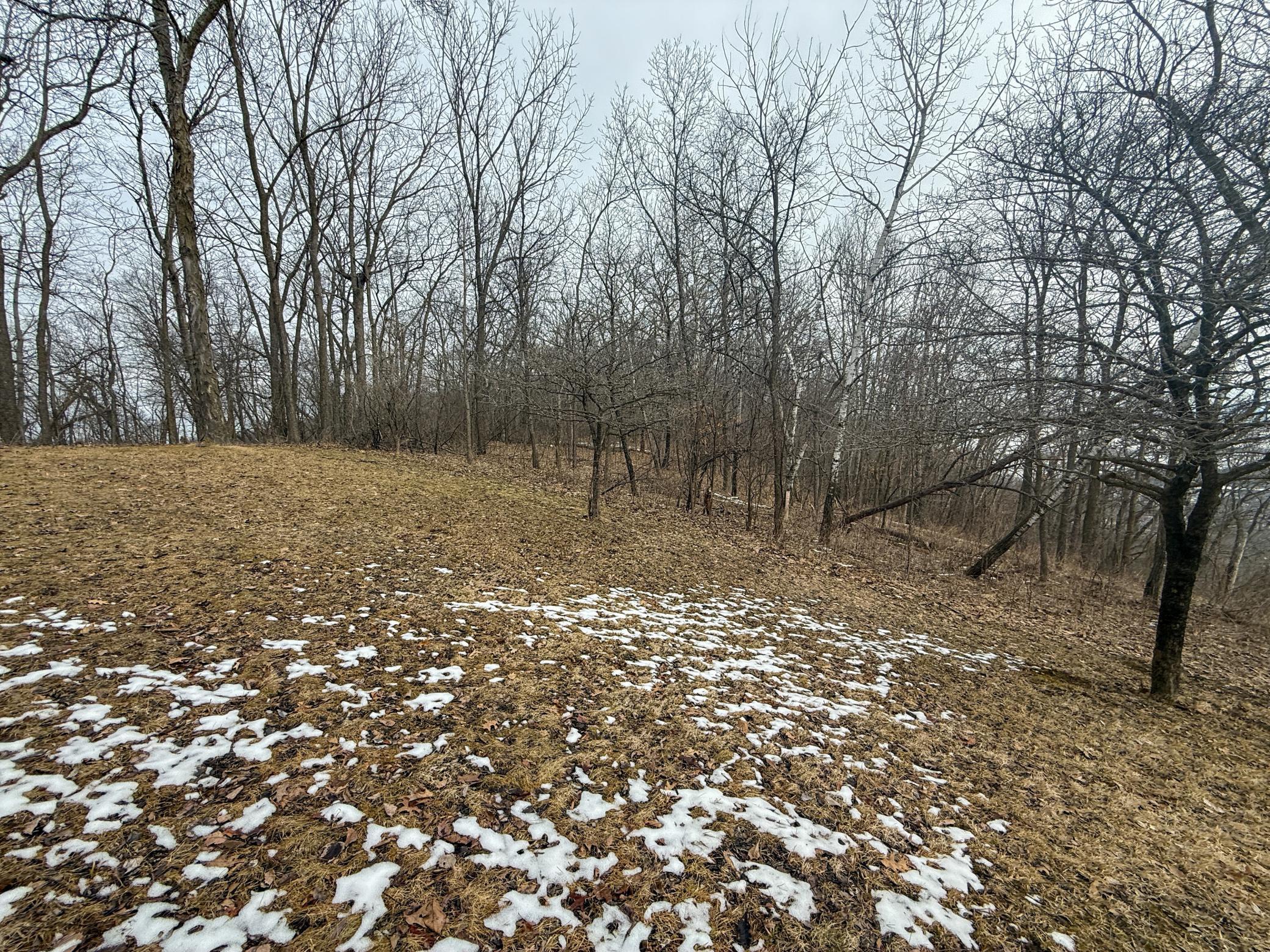 46180 Oak Hill Road La Crescent, MN 55947 - Photo 91 of 96