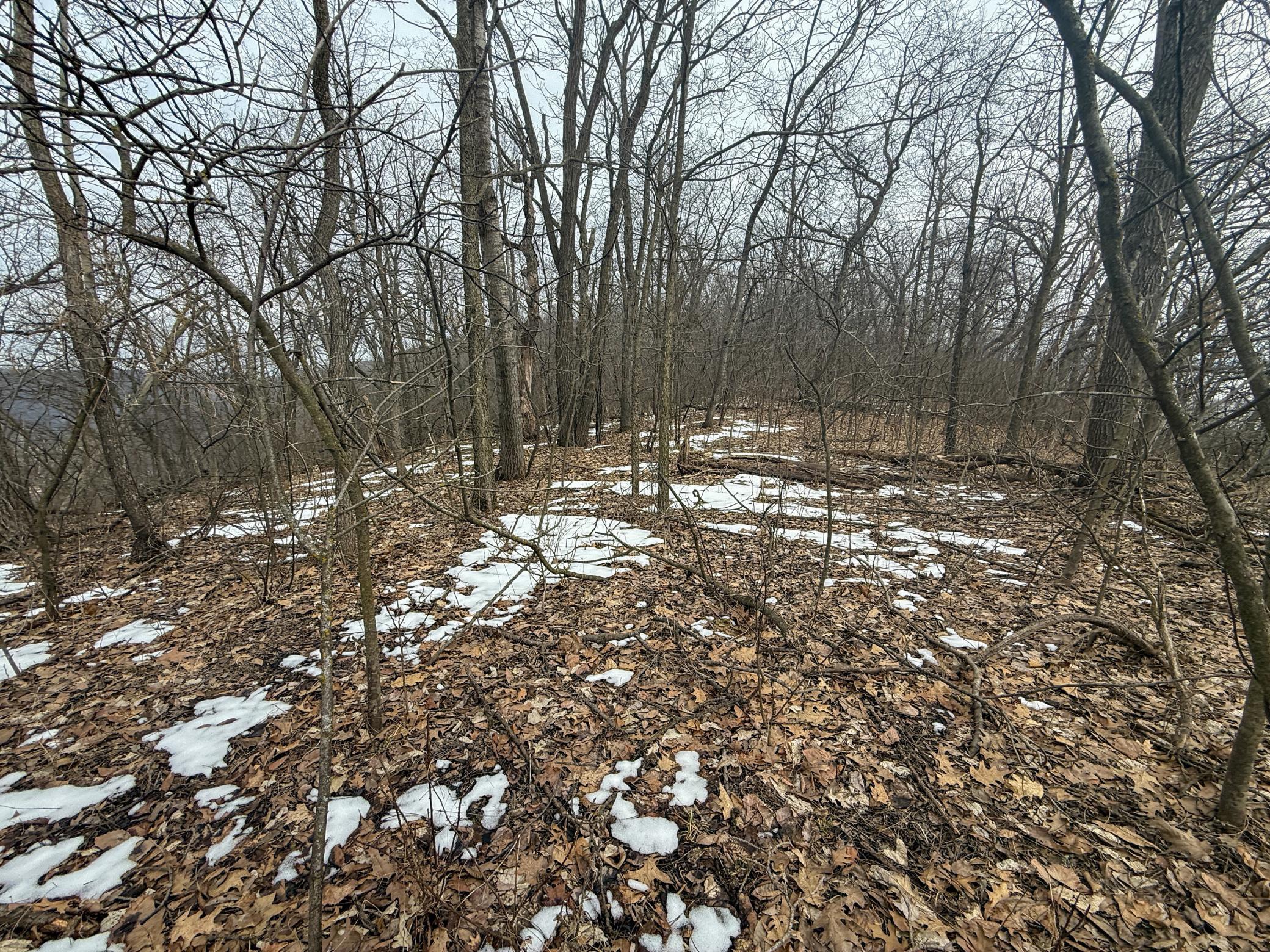 46180 Oak Hill Road La Crescent, MN 55947 - Photo 92 of 96