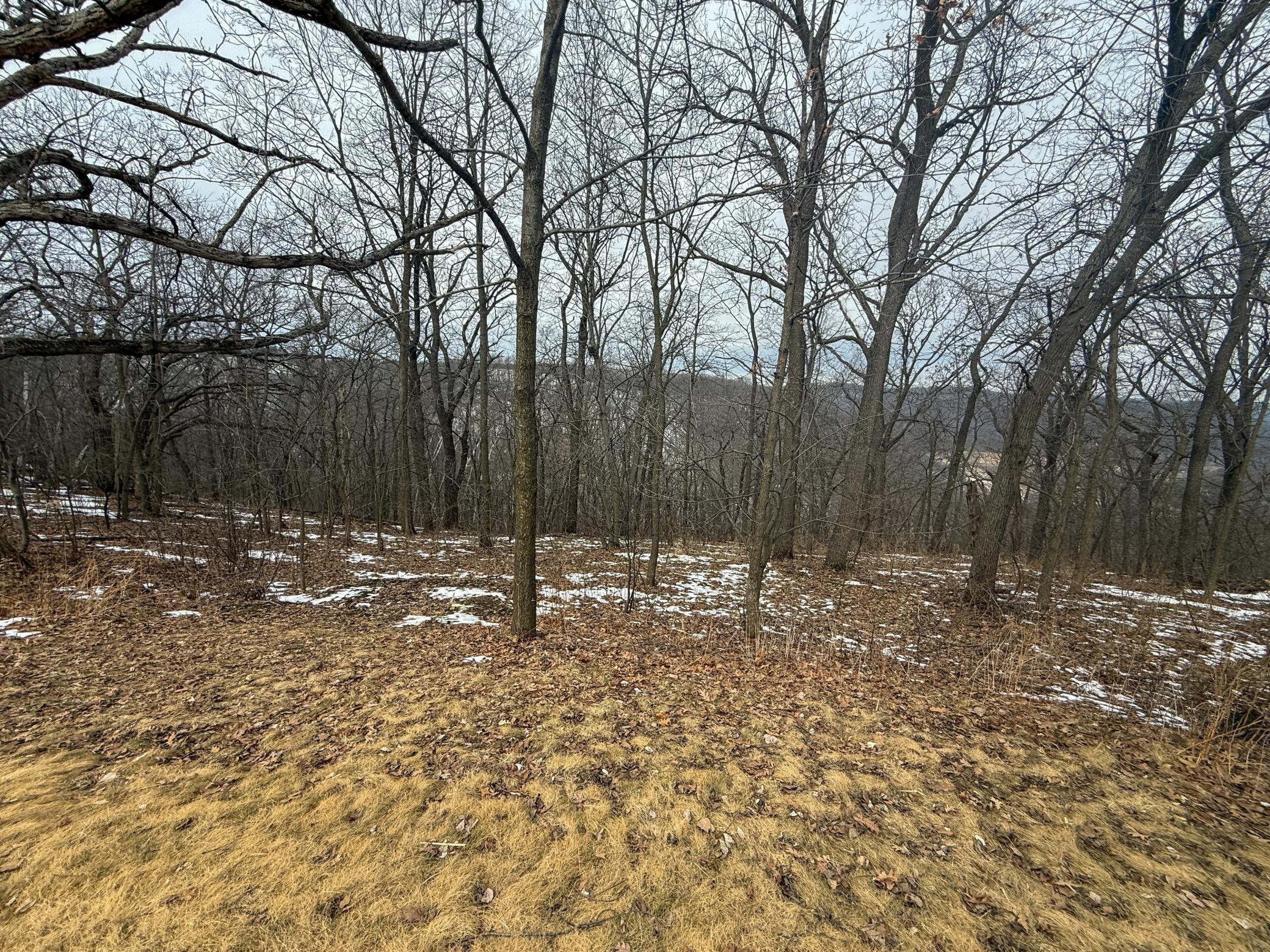 46180 Oak Hill Road La Crescent, MN 55947 - Photo 93 of 96