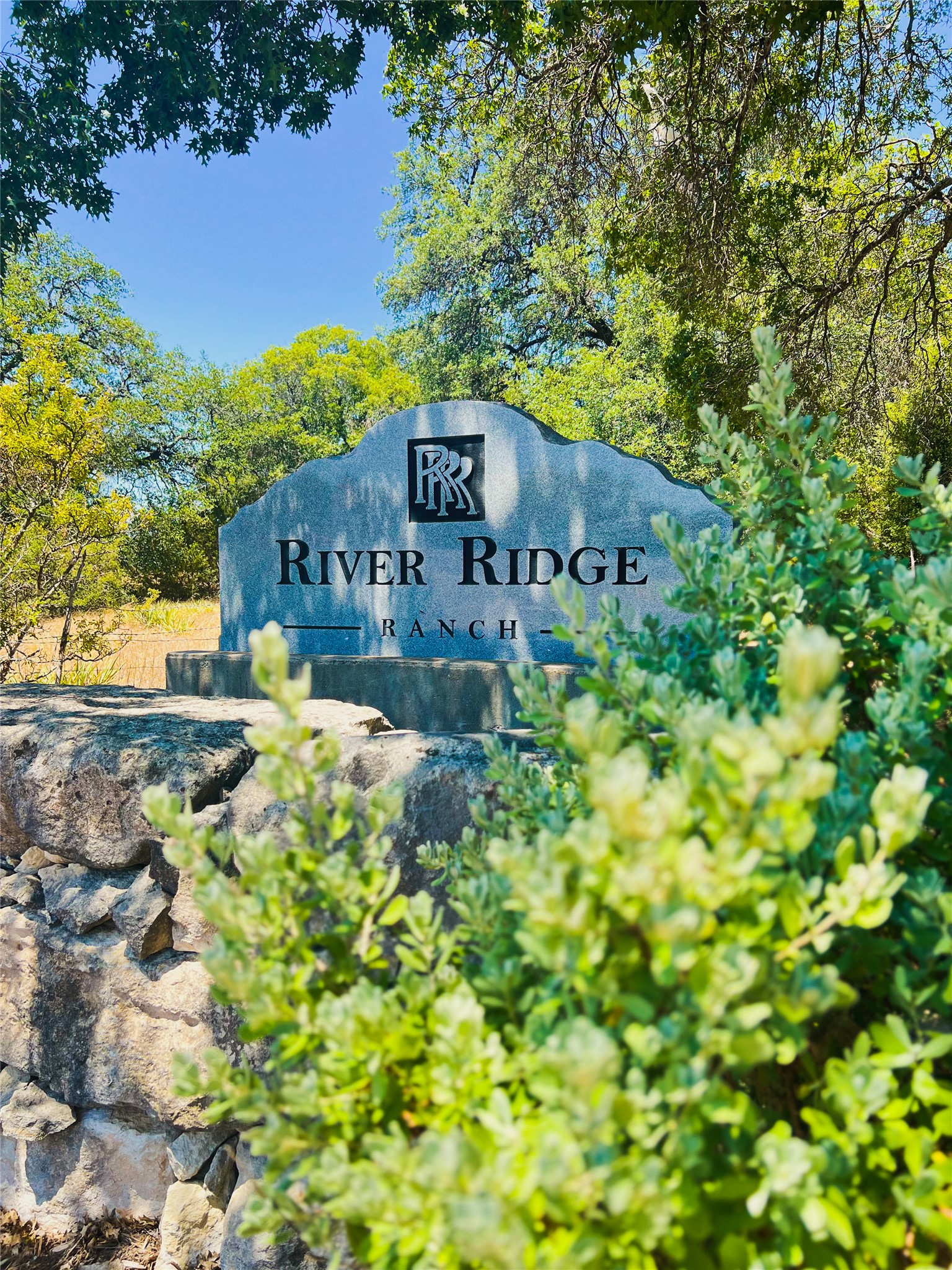 303 Hi-Ridge Road Killeen, TX 76549 - Photo 12 of 12 a view of a big yard with plants and large trees