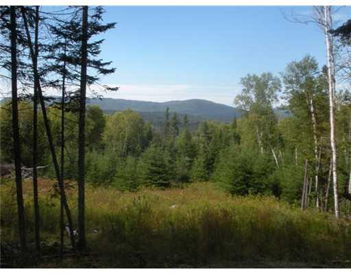 Lot 1 Moose Ridge Road Dallas Plt, ME 04970 - Photo 3 of 25 View.