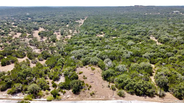 a view of a dry yard with green space