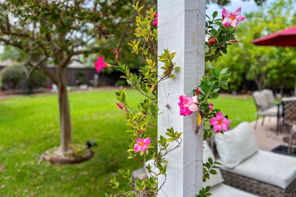 241 Muirfield Way San Marcos, CA 92069 - Photo 41 of 52