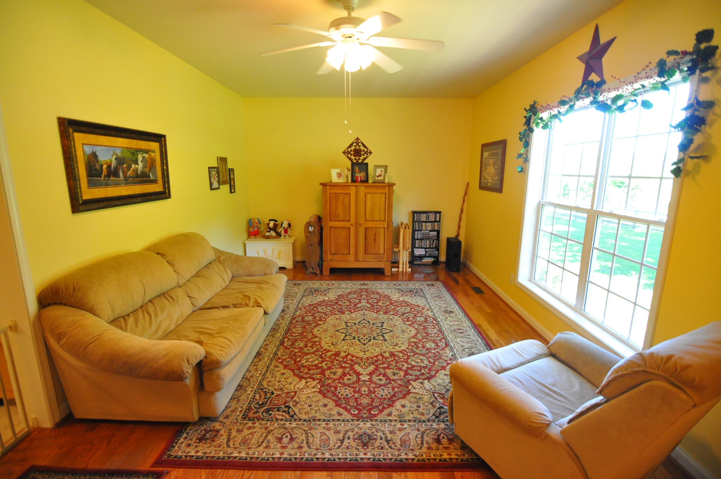 684 Mountain Valley Road Buchanan, VA 24066 - Photo 2 of 37 Living Room