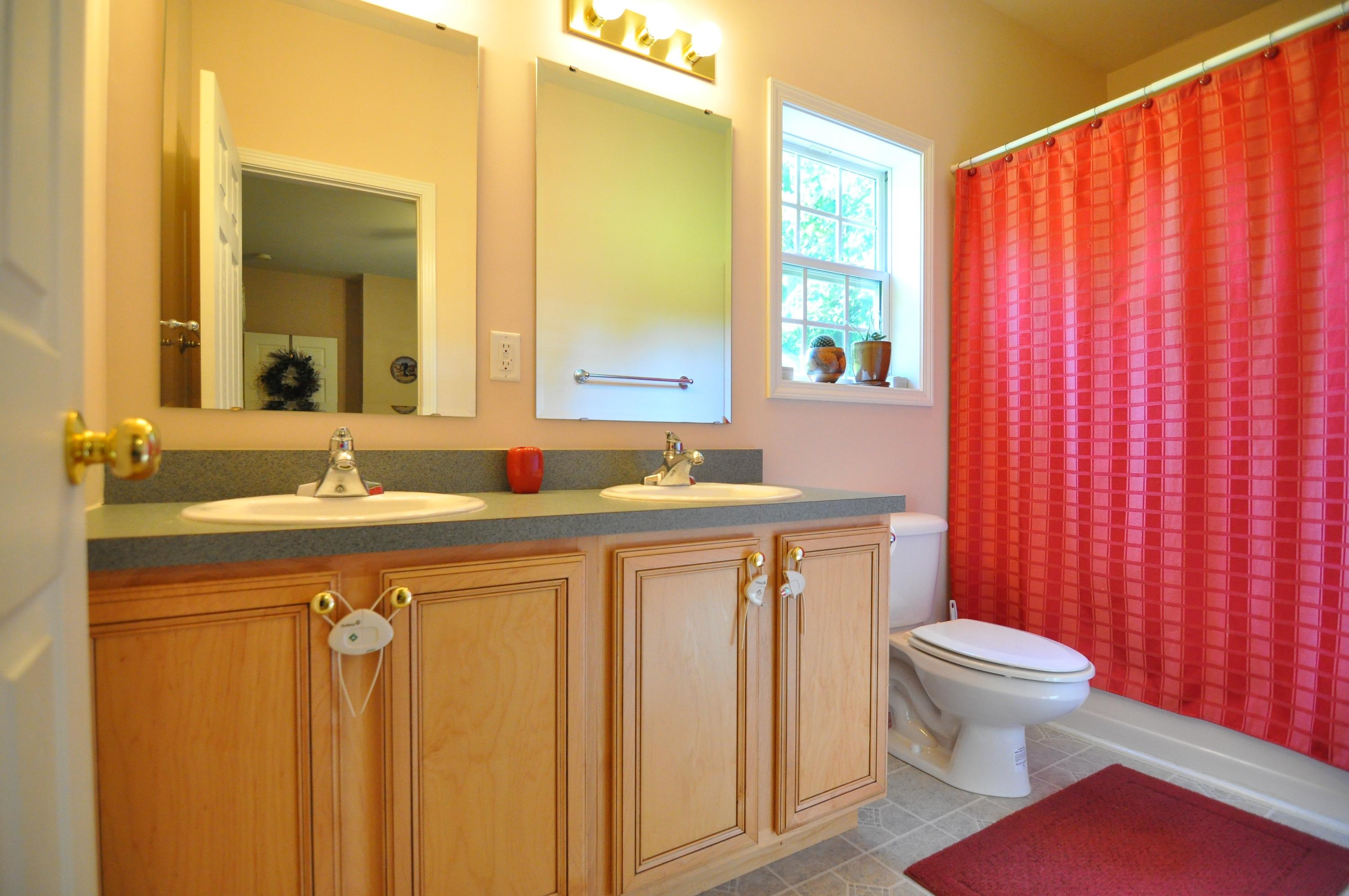 684 Mountain Valley Road Buchanan, VA 24066 - Photo 12 of 37 Master Bath Entry