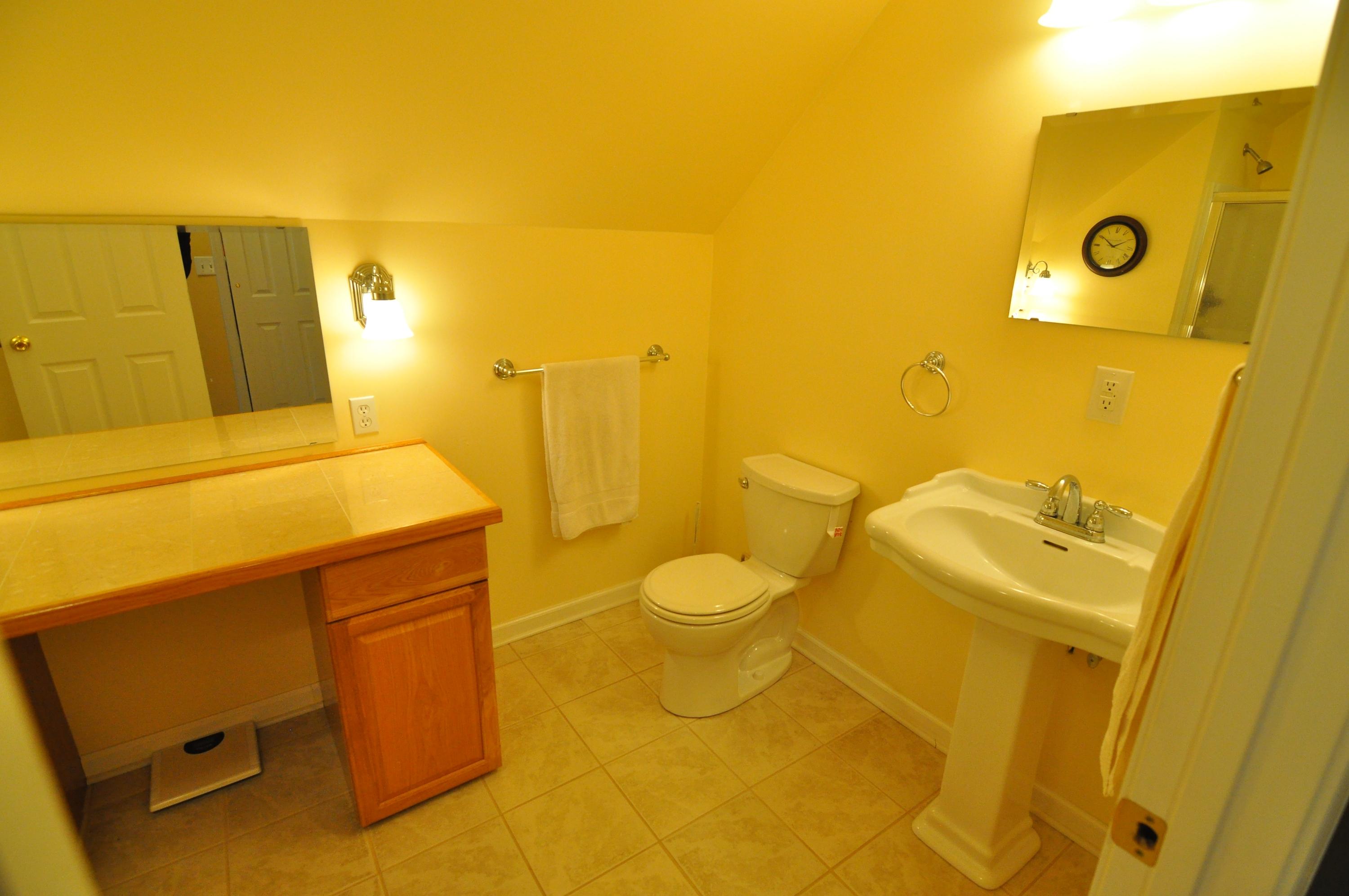 684 Mountain Valley Road Buchanan, VA 24066 - Photo 15 of 37 Bath Upper Level