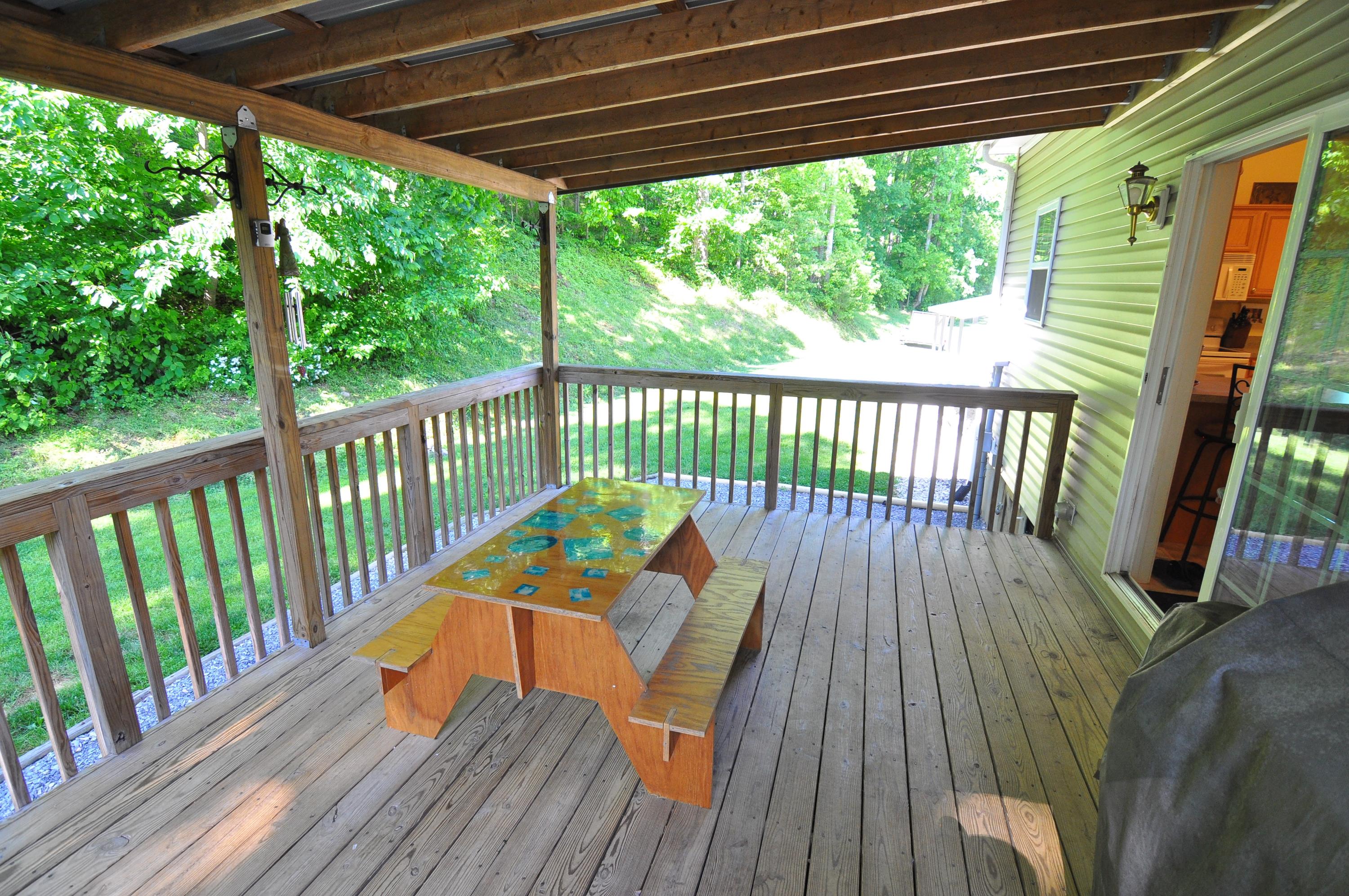 684 Mountain Valley Road Buchanan, VA 24066 - Photo 25 of 37 Back Porch
