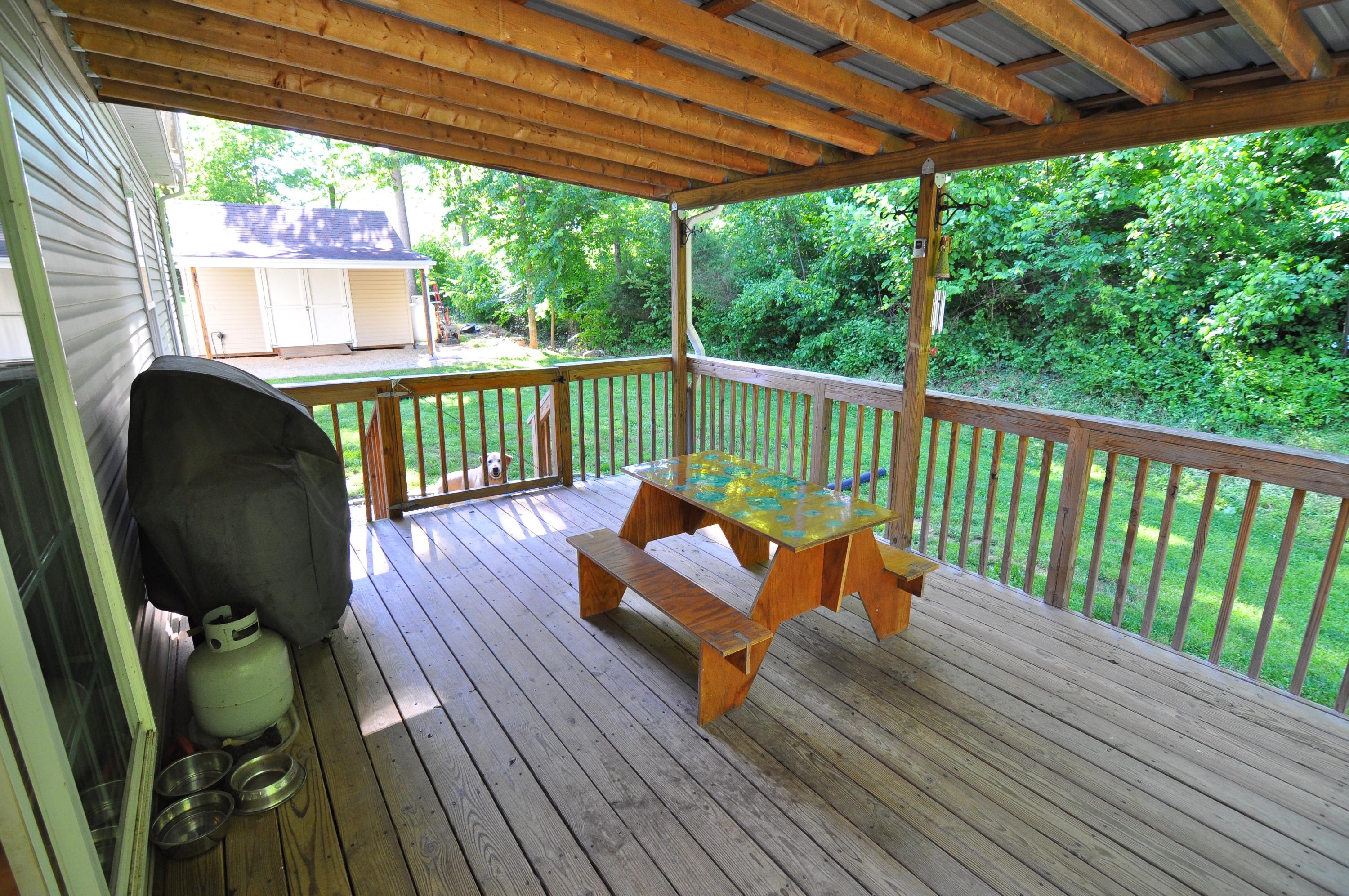 684 Mountain Valley Road Buchanan, VA 24066 - Photo 26 of 37 Back Porch