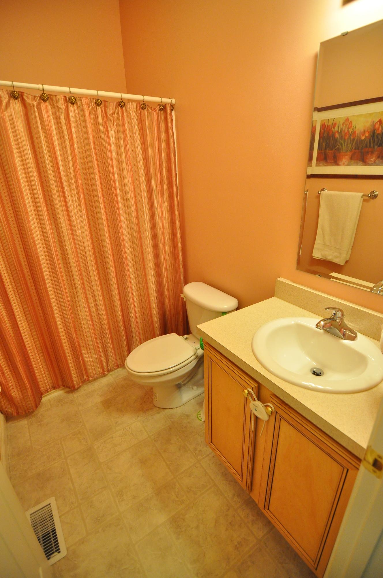 684 Mountain Valley Road Buchanan, VA 24066 - Photo 10 of 37 Hall Bath