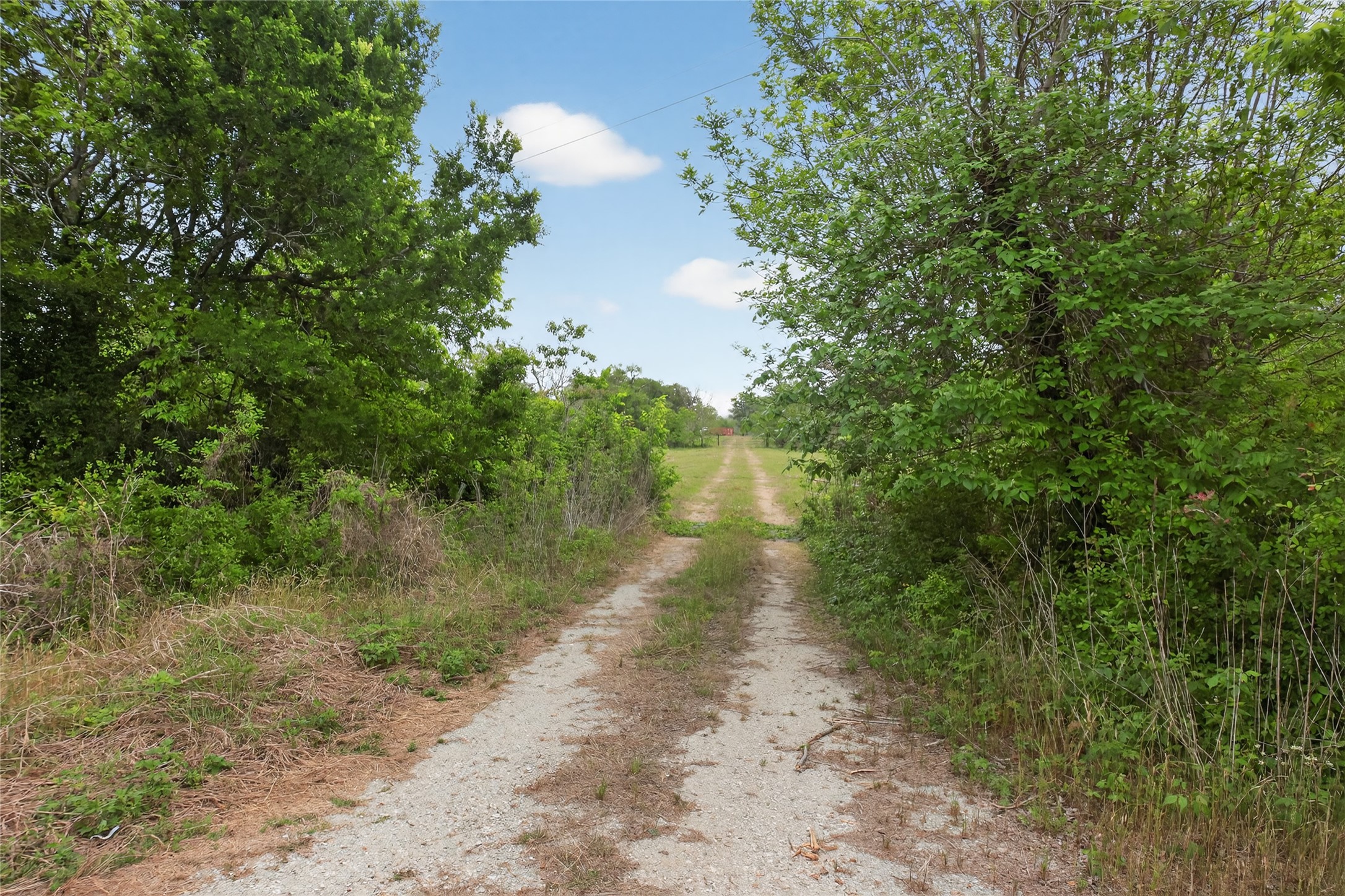 0 FM 524 Road Sweeny, TX 77480 - Photo 24 of 24