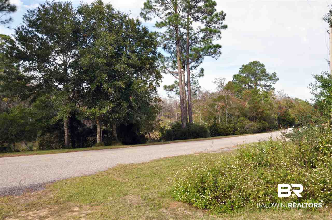 9082 Bayview Drive Lillian, AL 36549 - Photo 11 of 11 STREET SCENE 4