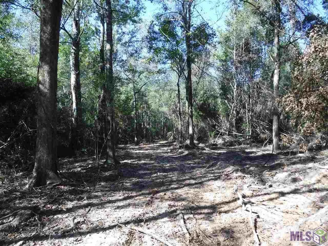 $117,645 | X7 B La Highway, Ethel, LA 70730