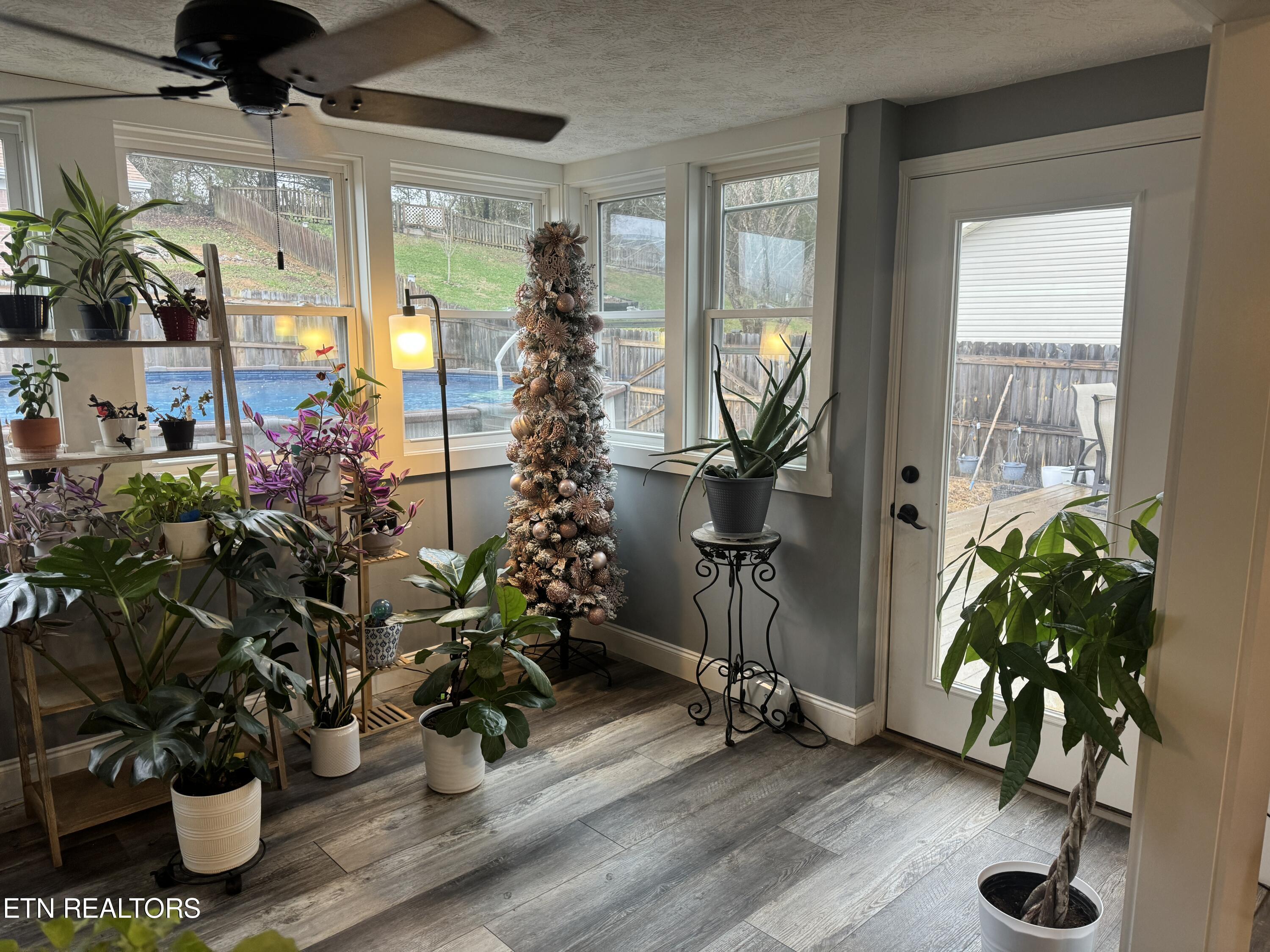 7537 Wilderness Path Road Corryton, TN 37721 - Photo 11 of 30 2024-02-12 12.01.52