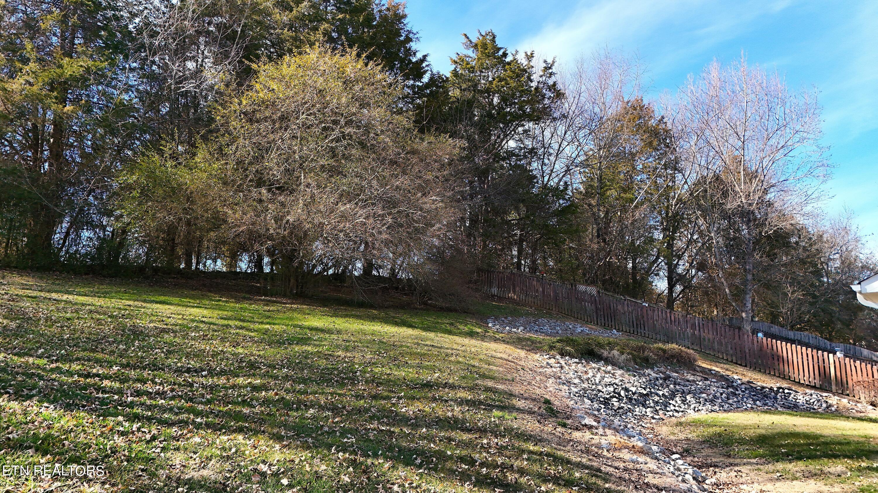 7537 Wilderness Path Road Corryton, TN 37721 - Photo 4 of 30 2024-02-07 14.32.18