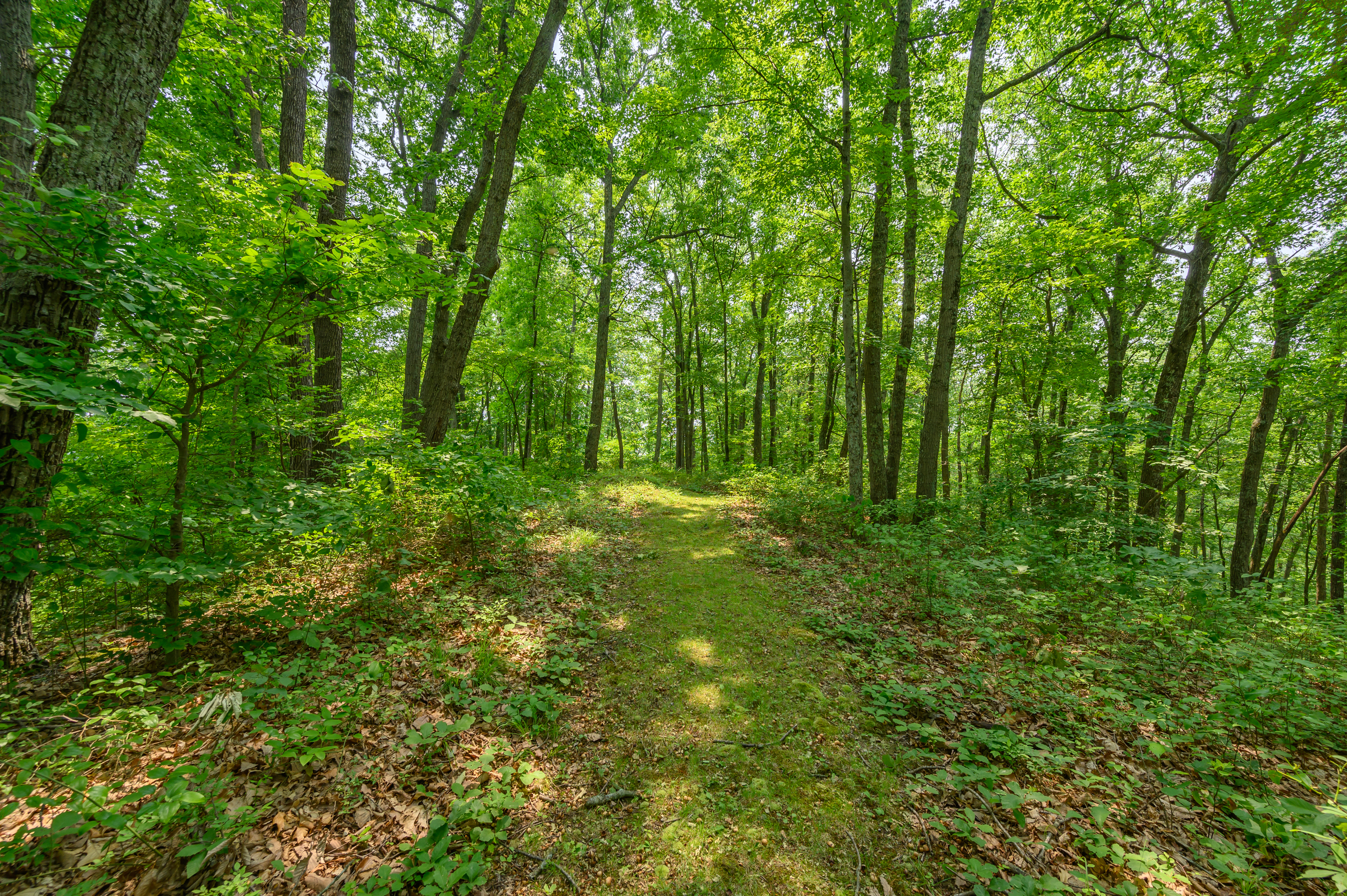 3271 Raspberry Lane Nashville, IN 47448 - Photo 27 of 86