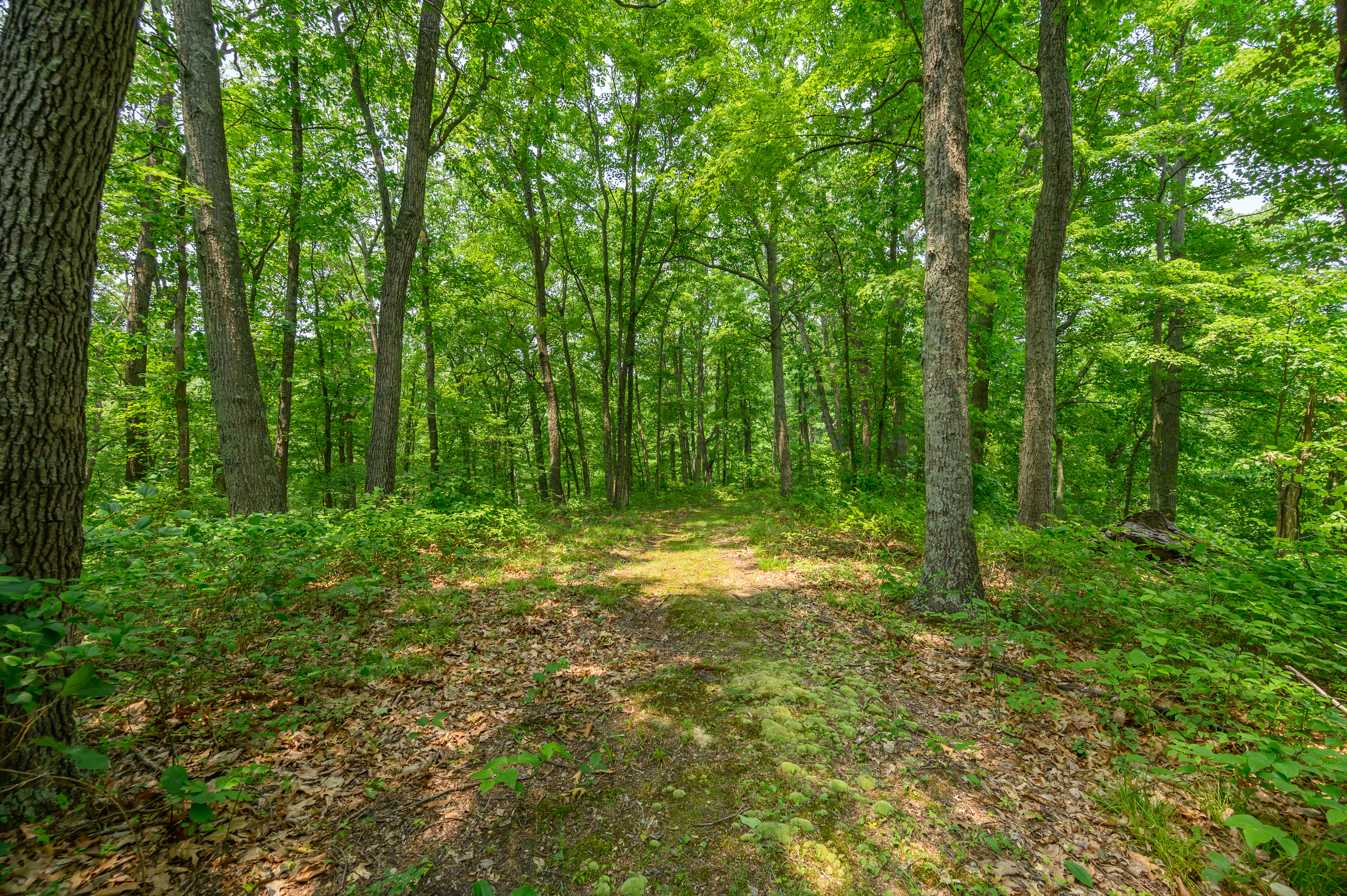 3271 Raspberry Lane Nashville, IN 47448 - Photo 28 of 86