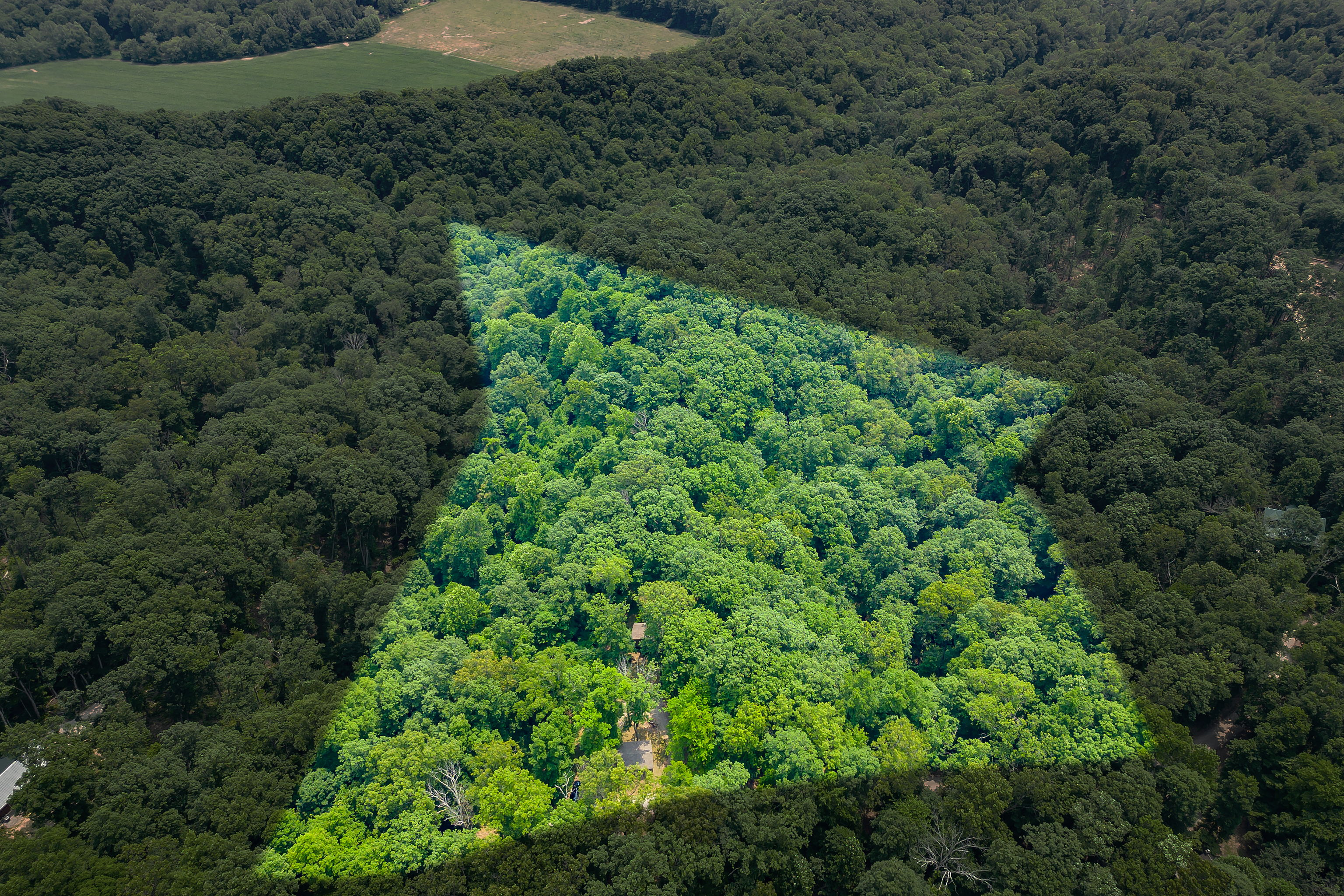 3271 Raspberry Lane Nashville, IN 47448 - Photo 68 of 86