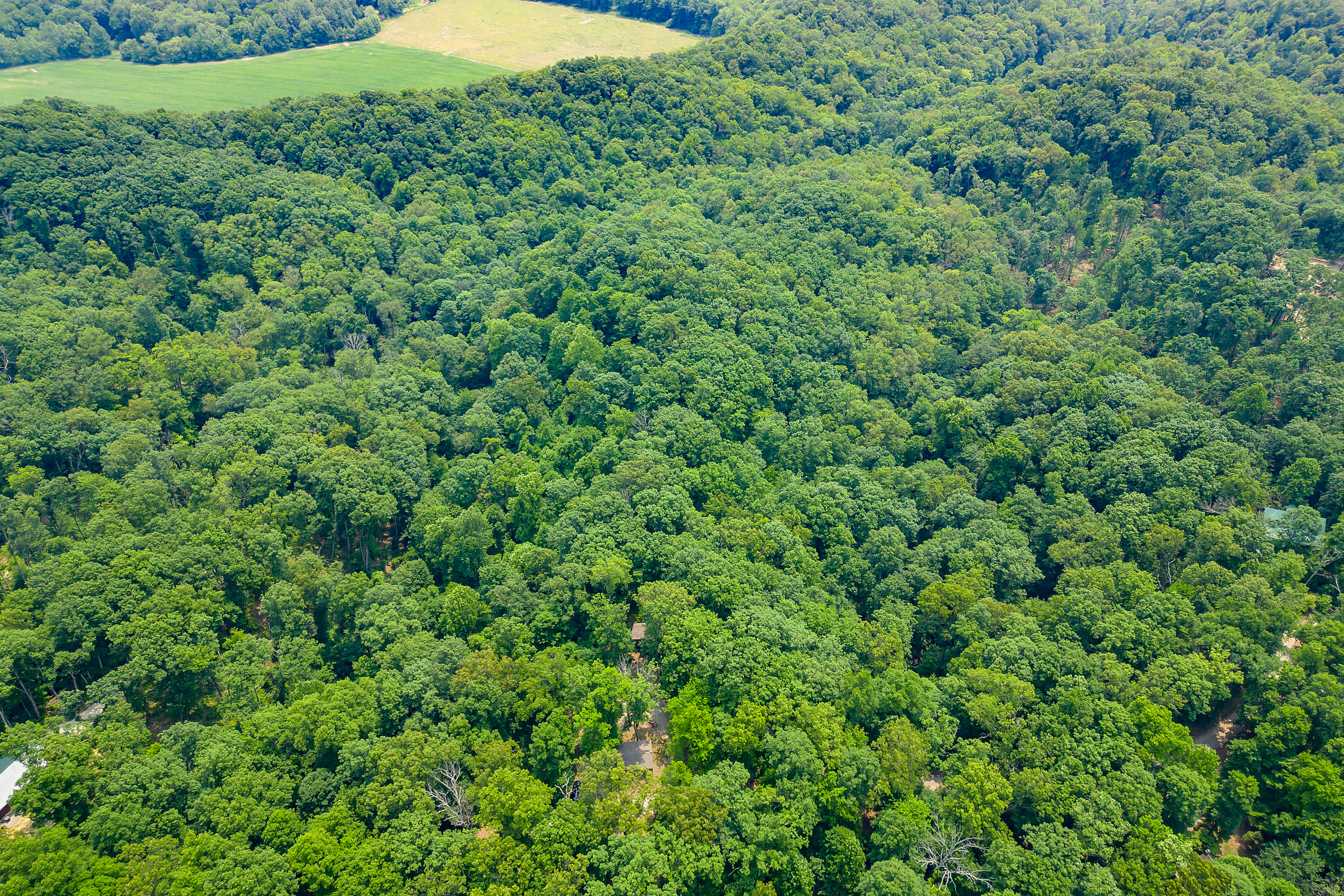 3271 Raspberry Lane Nashville, IN 47448 - Photo 69 of 86