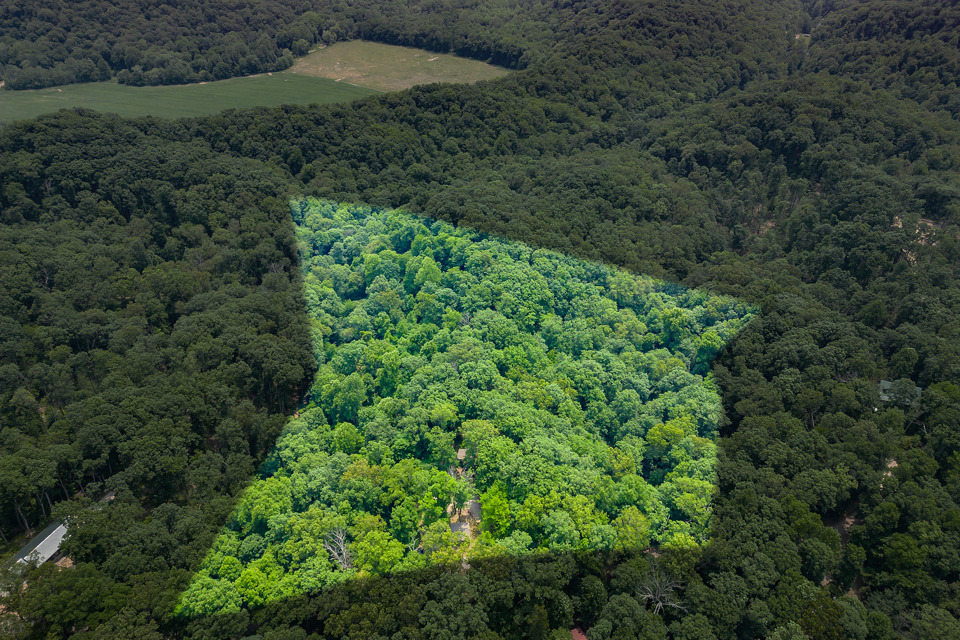 3271 Raspberry Lane Nashville, IN 47448 - Photo 70 of 86