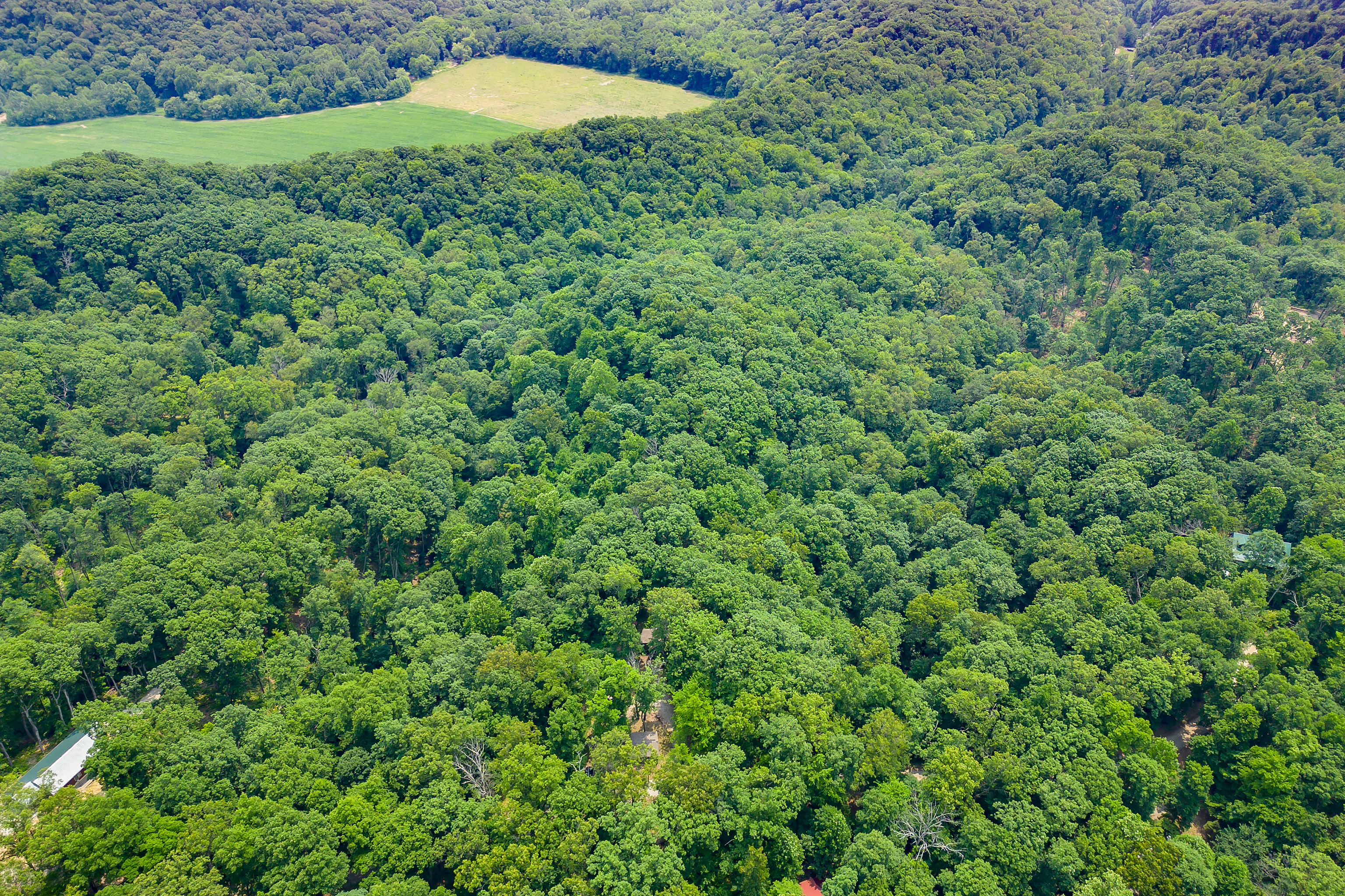 3271 Raspberry Lane Nashville, IN 47448 - Photo 71 of 86