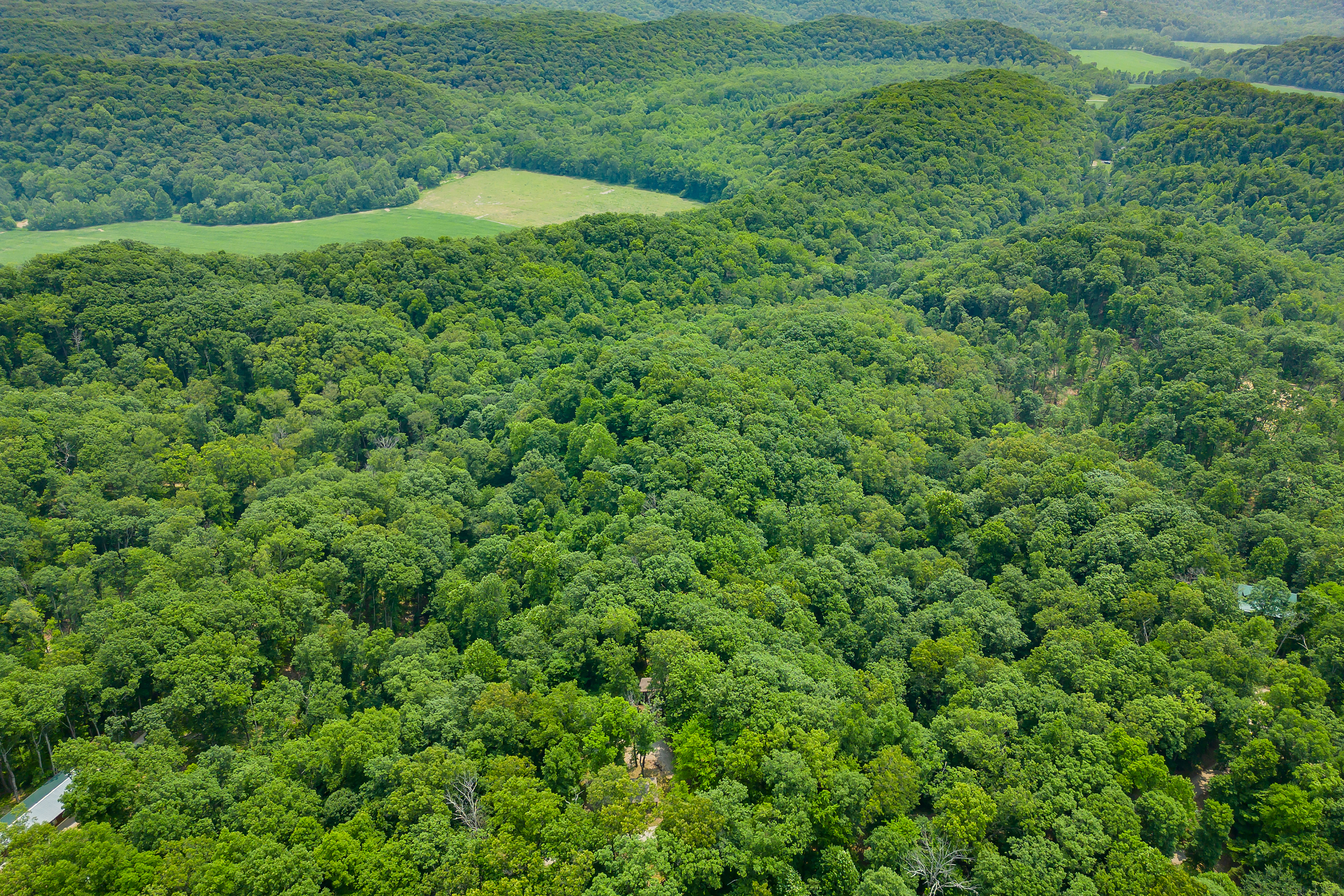 3271 Raspberry Lane Nashville, IN 47448 - Photo 73 of 86