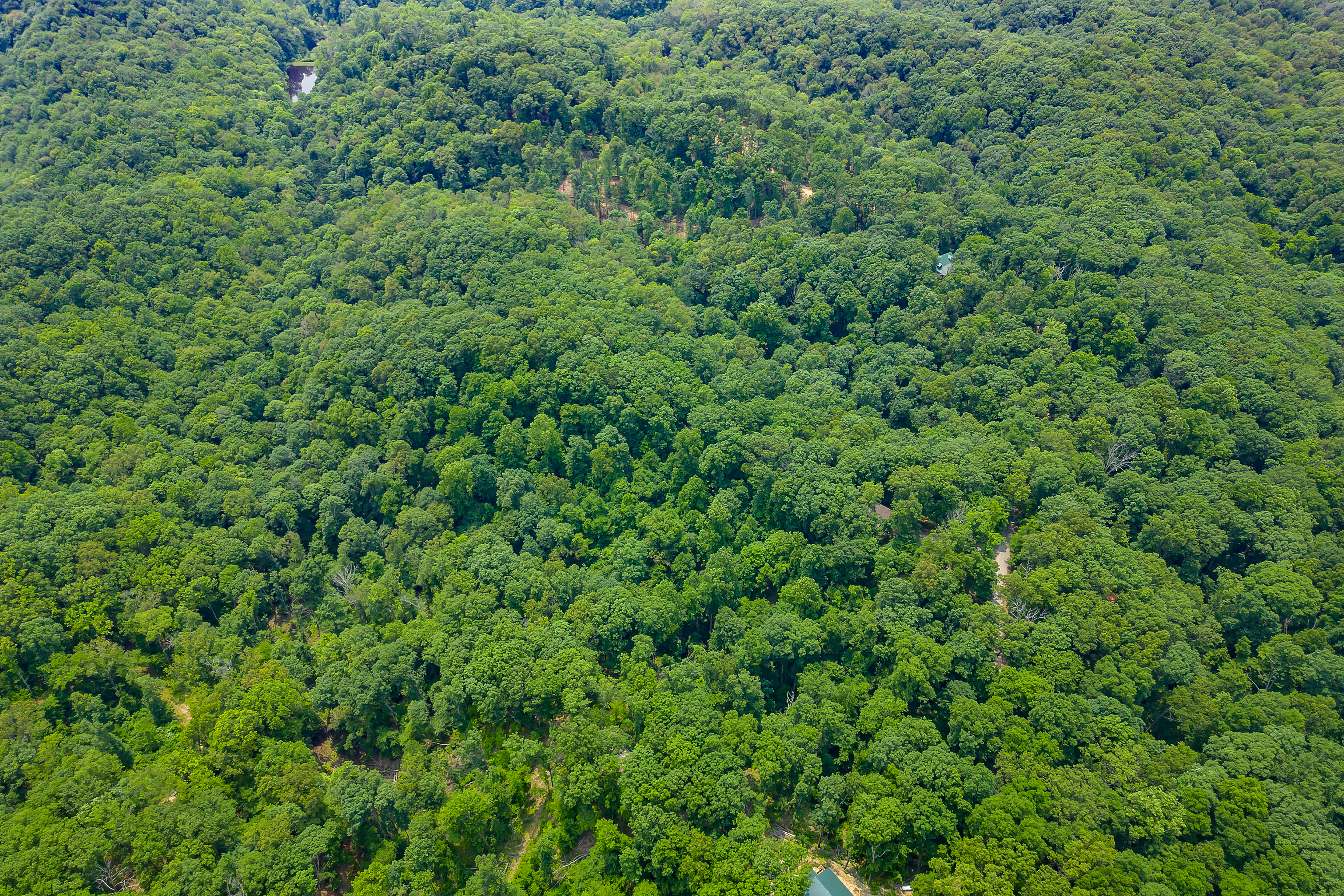 3271 Raspberry Lane Nashville, IN 47448 - Photo 75 of 86