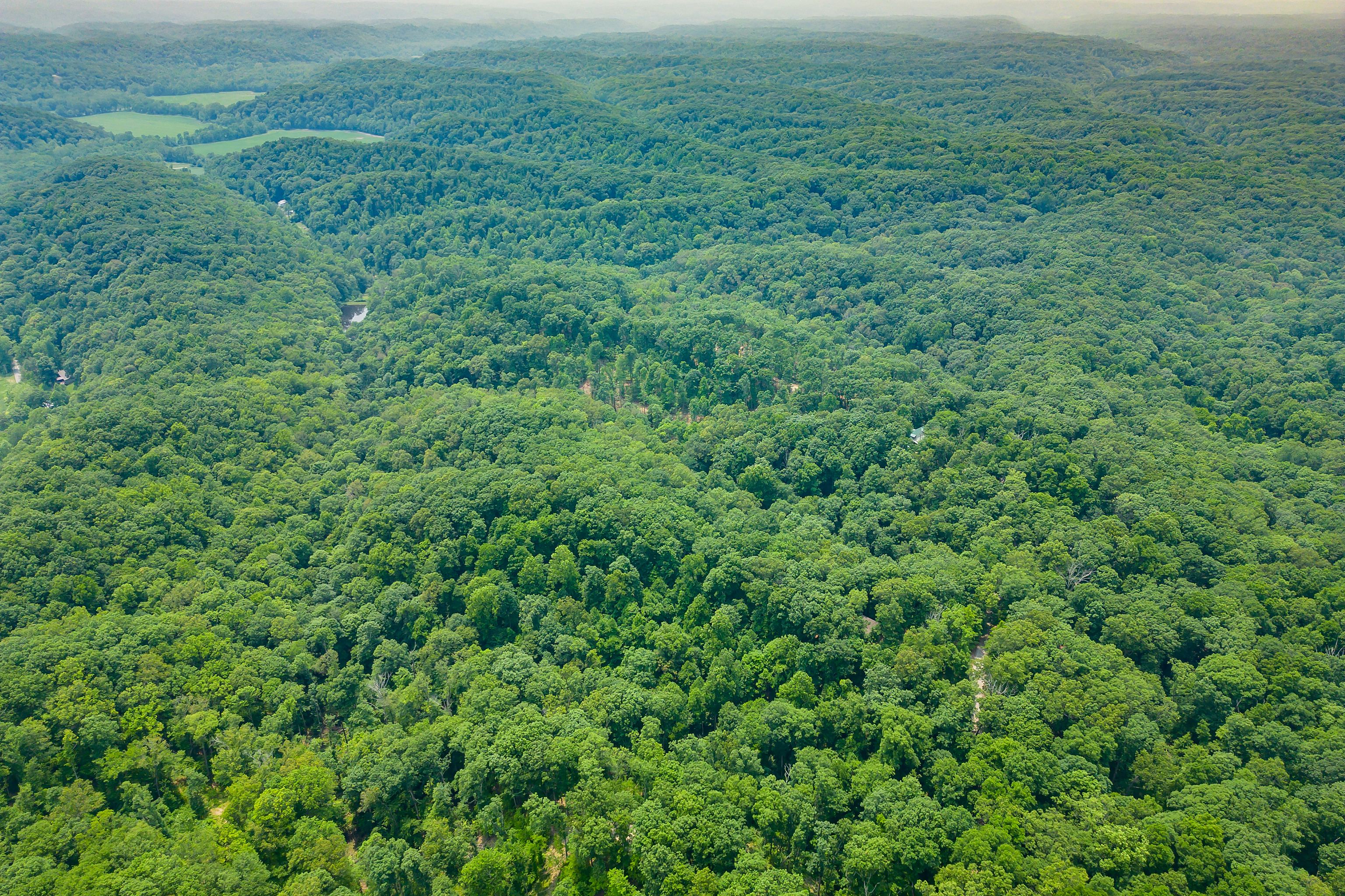 3271 Raspberry Lane Nashville, IN 47448 - Photo 77 of 86