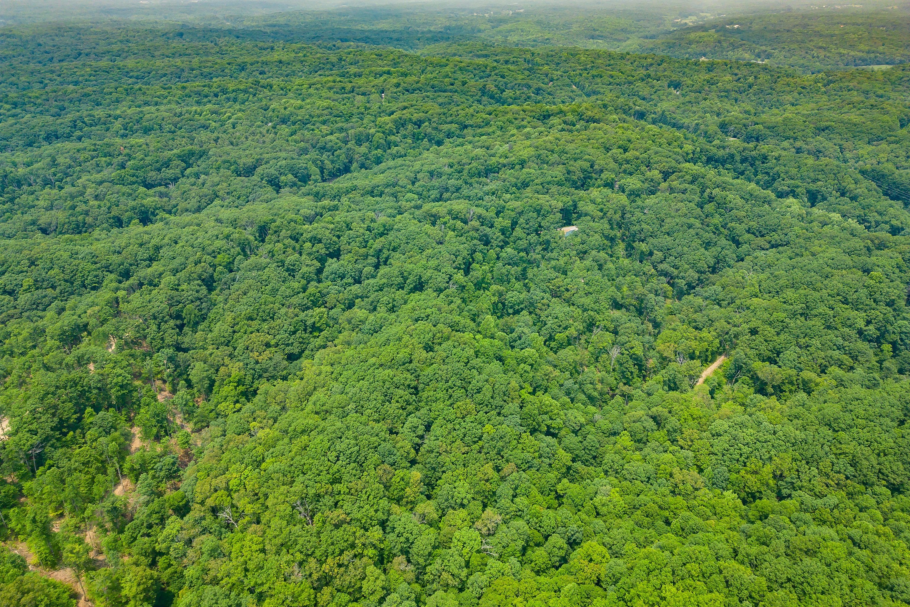 3271 Raspberry Lane Nashville, IN 47448 - Photo 84 of 86