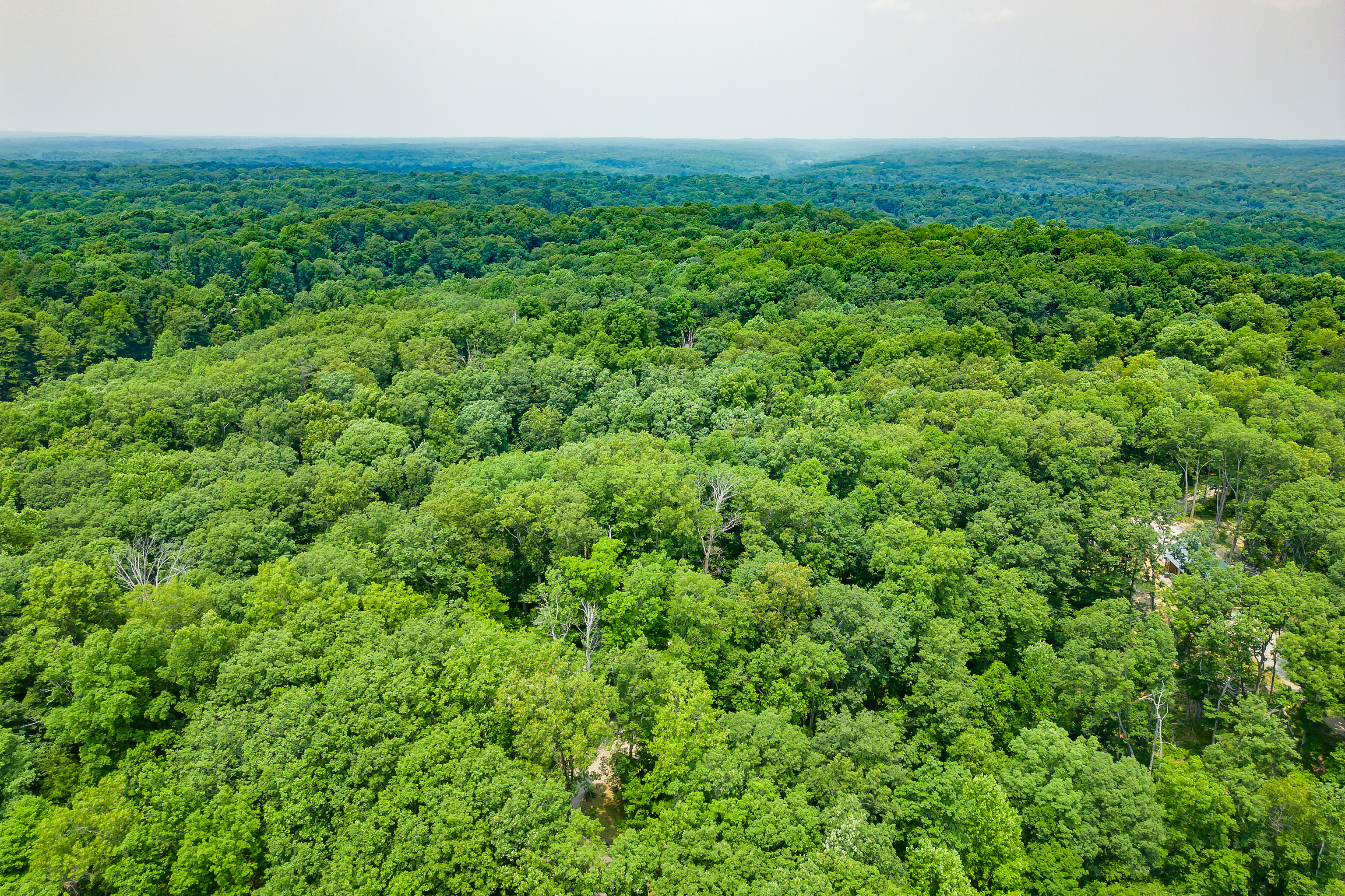 3271 Raspberry Lane Nashville, IN 47448 - Photo 85 of 86