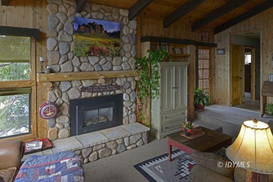54100 North Ridge Drive Idyllwild, CA 92549 - Photo 3 of 16 Propane stove insert
